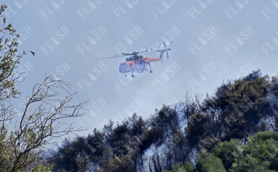 Γιάννης Κέμμος/Flash.gr