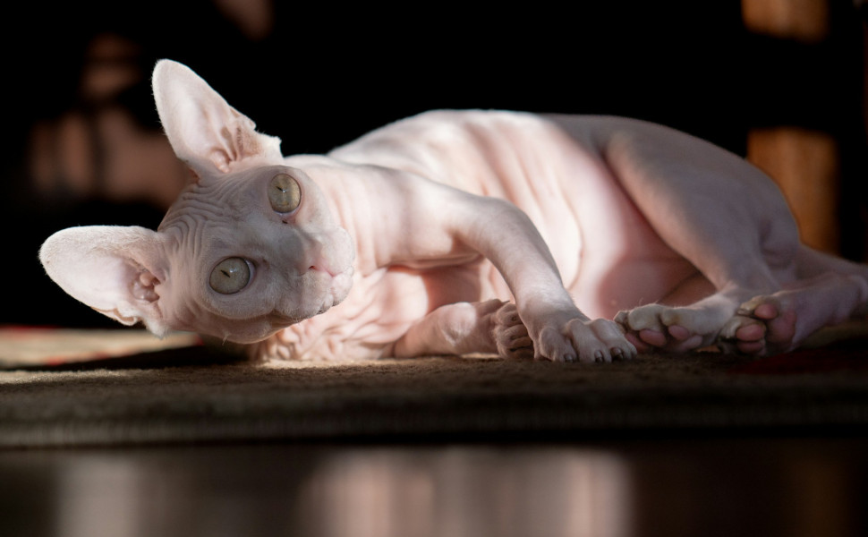 Photo by Adrian Kuma on Unsplash
