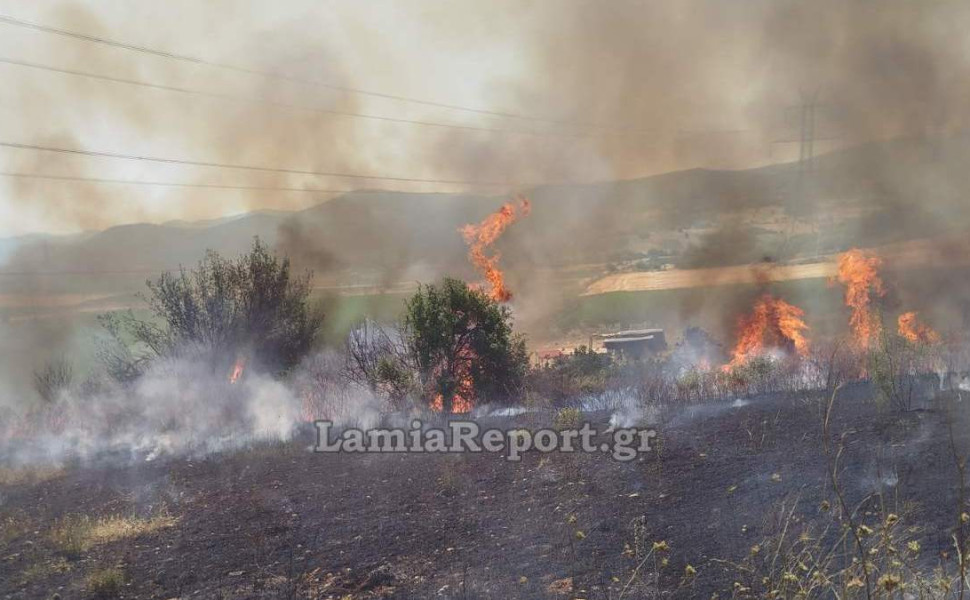 πηγή: Lamiareport