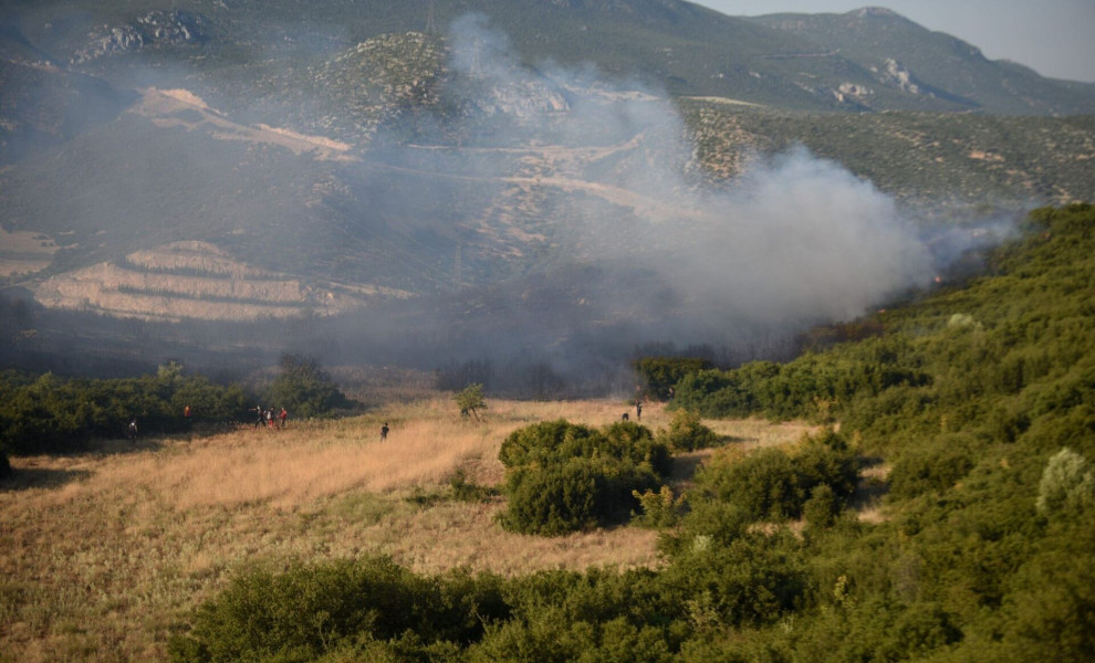 Αναζωπύρωση της πυρκαγιάς στην Λαμία στο πίσω μέρος του Αφανού, Πέμπτη 27 Ιουλίου 2023. 
(ΝΑΣΟΣ ΣΙΜΟΠΟΥΛΟΣ/EUROKINISSI)