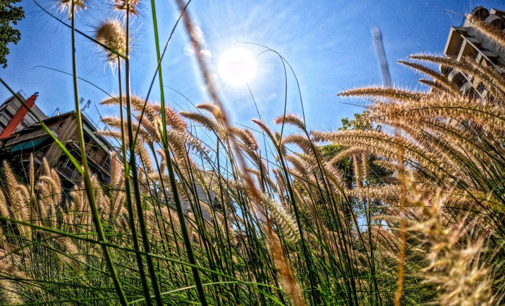 (ΚΟΝΤΑΡΙΝΗΣ  ΓΙΩΡΓΟΣ EUROKINISSI)