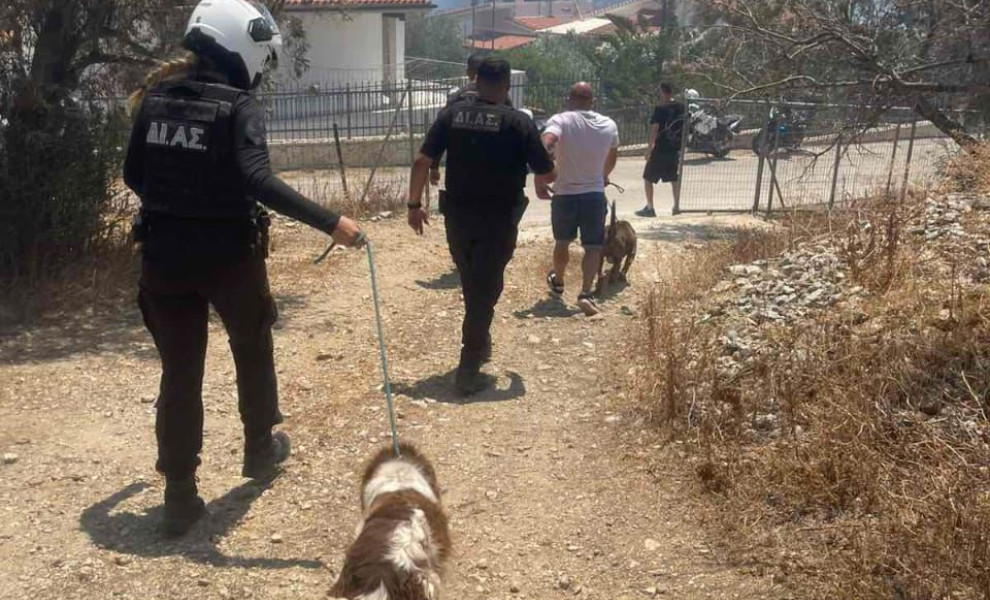 Πηγή: ΕΛ.ΑΣ.