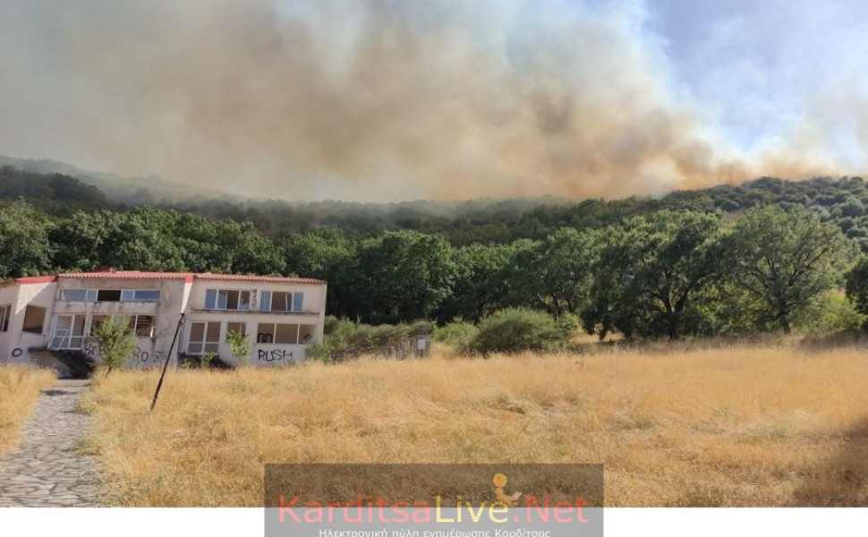 Φωτο: karditsalive.net Φωτο: karditsalive.net