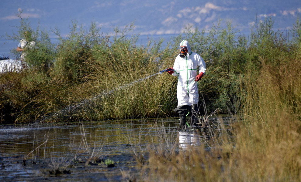 Φωτο: Eurokinissi