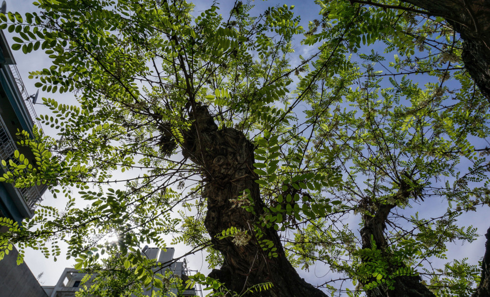 Φωτογραφία αρχείου Eurokinissi
