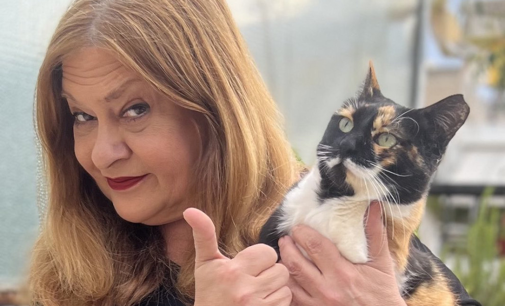 φωτογραφία Instagram