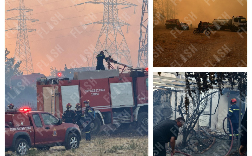 Γιάννης Κέμμος / Flash.gr