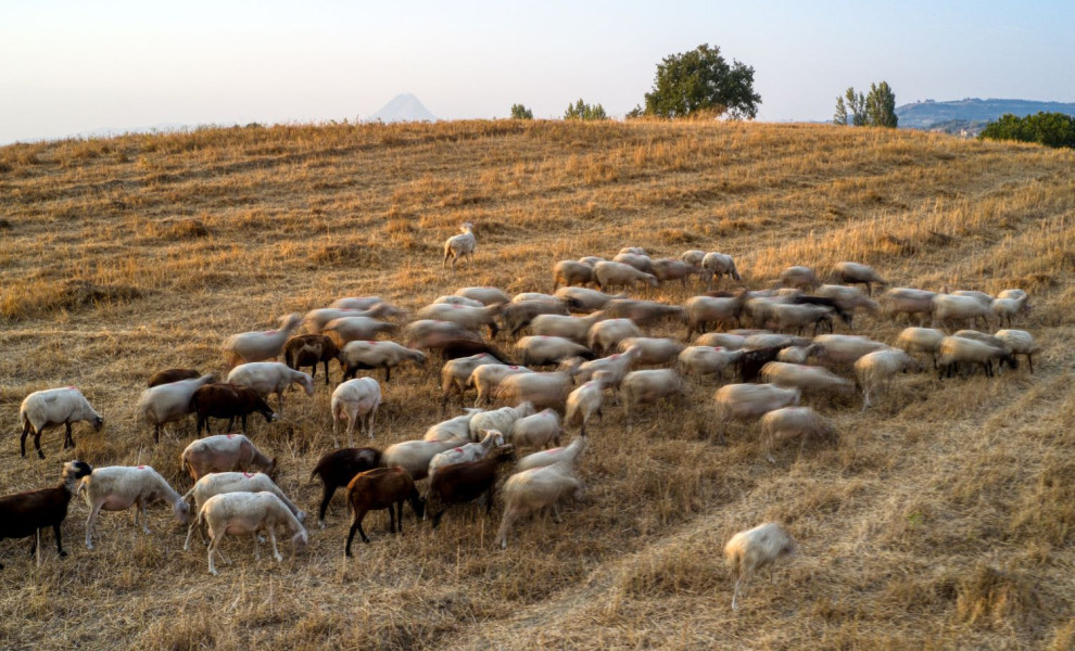 Φωτογραφία αρχείου EUROKINISSI