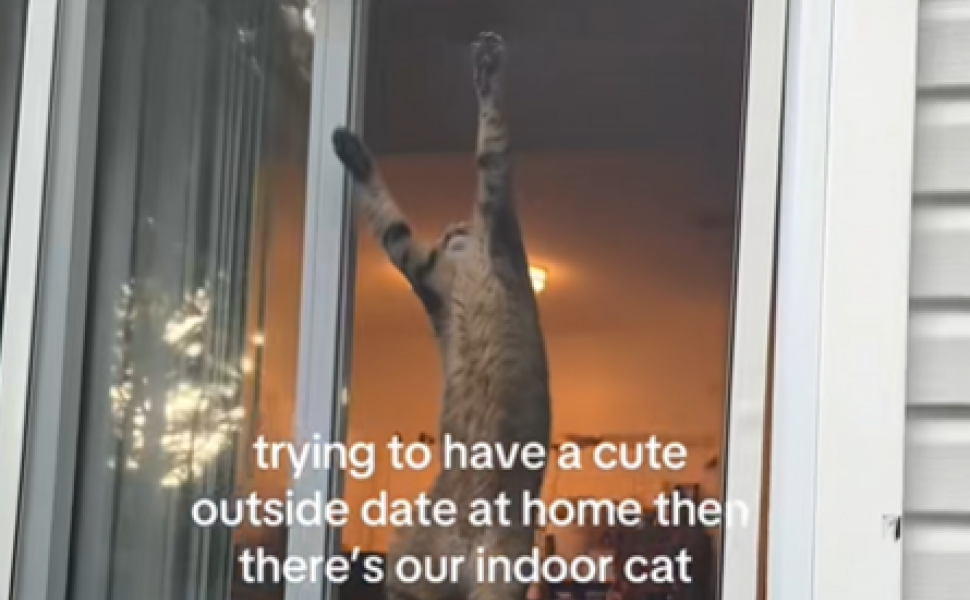 Tik Tok Tik Tok