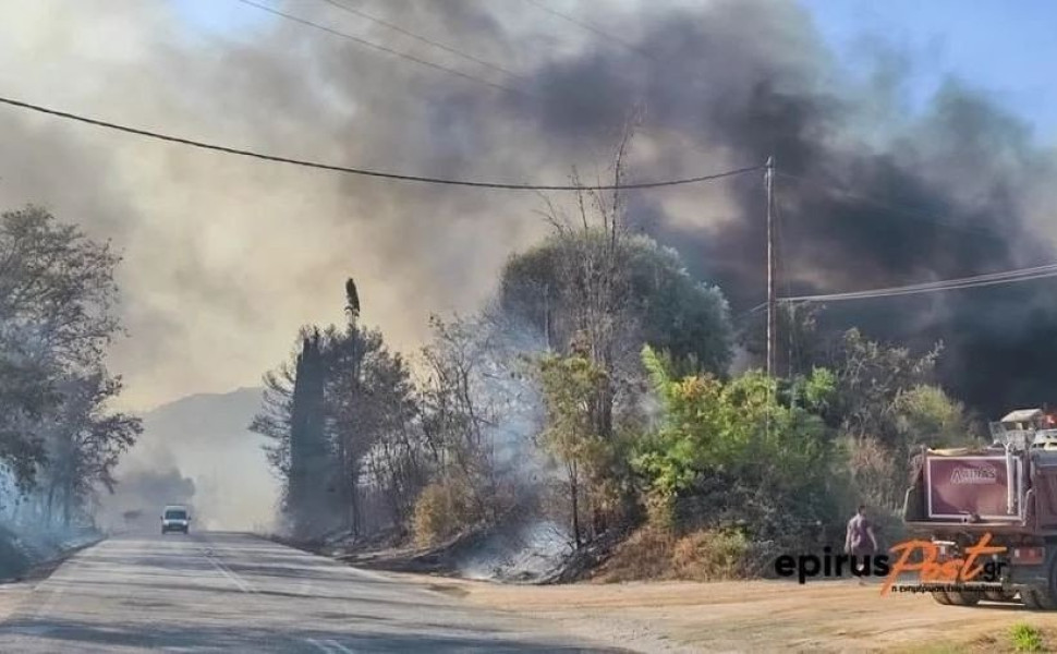 Στιγμιότυπο από πύρινο μέτωπο στην Πρέβεζα/Φωτ. EPIRUSPOST.GR