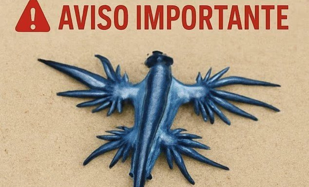 Policia Local/Guardamar del Segura Policia Local/Guardamar del Segura