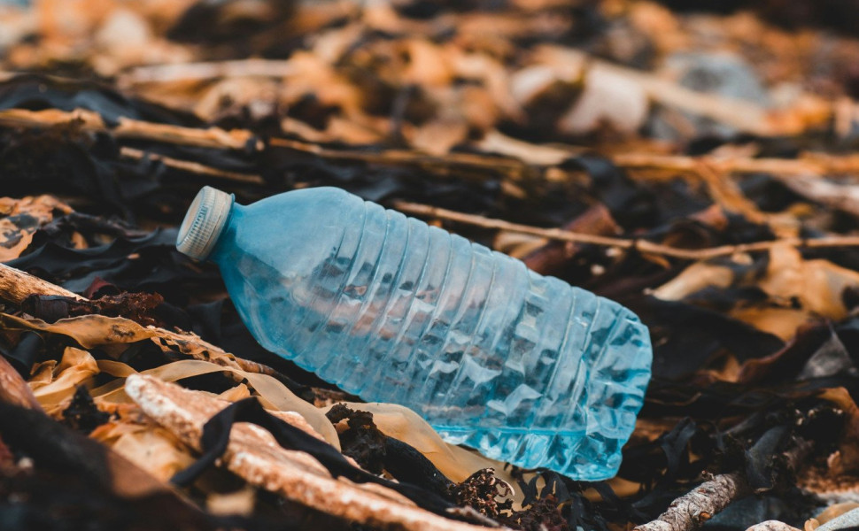 Unsplash