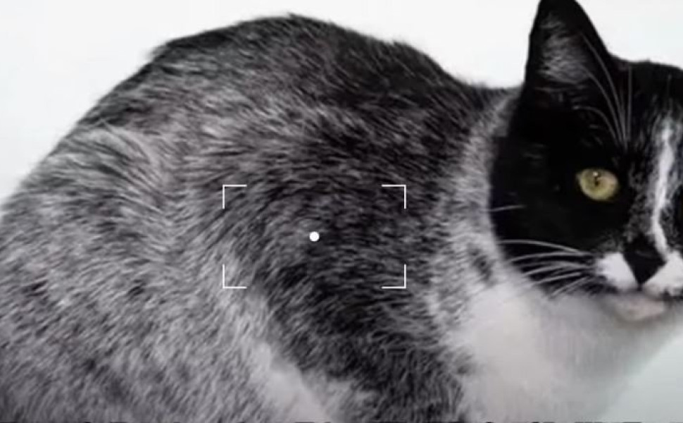 Image via YouTube
