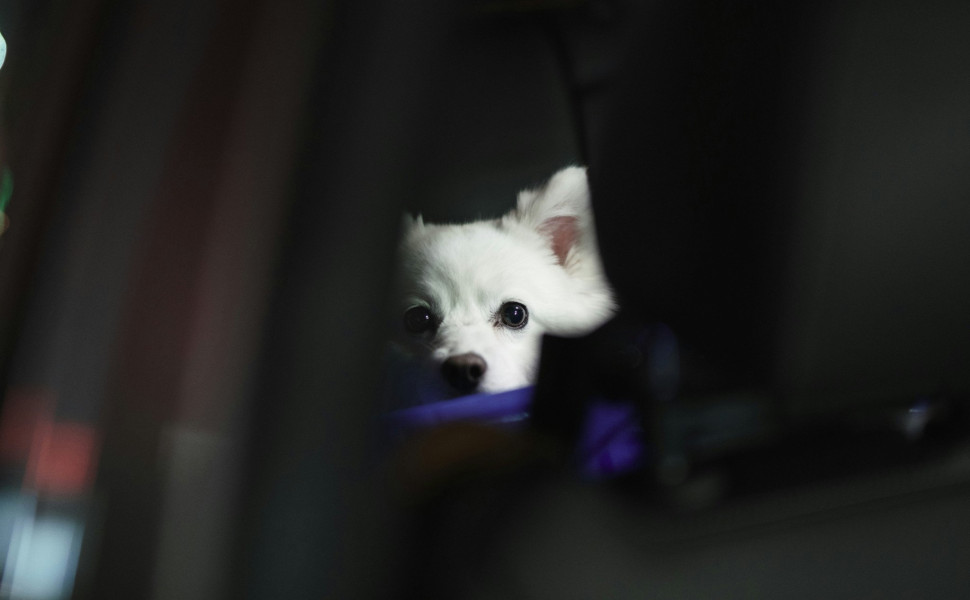 Φωτ.: Unsplash