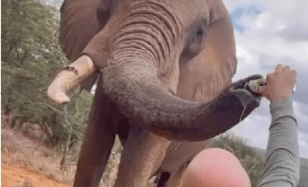 Στιγμιότυπο από βίντεο στο Instagram