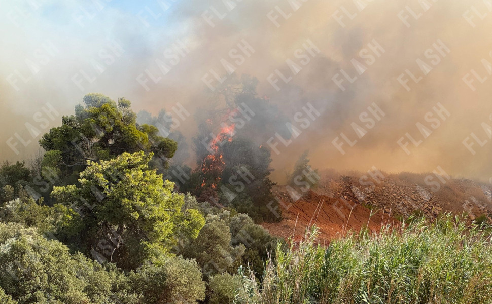 Γιάννης Κέμμος / Flash.gr Γιάννης Κέμμος / Flash.gr