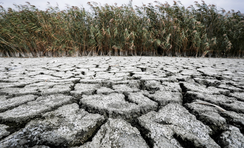 Ξηρασία στη λίμνη Κορώνεια | In Time