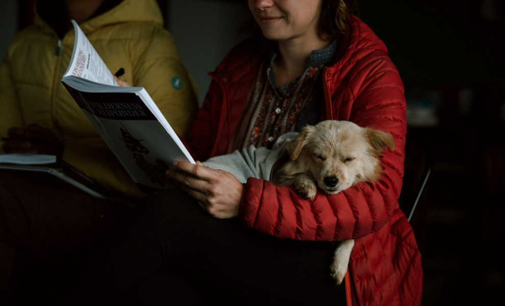 Φωτογραφία: Unsplash