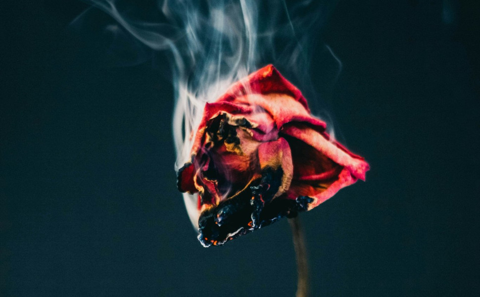 Unsplash Unsplash