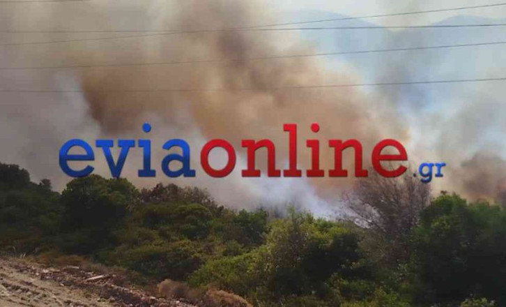 Αναζωπύρωση της φωτιάς στην Εύβοια: Συναγερμός στην Πυροσβεστική - Τα στοιχεία που δείχνουν εμπρησμό