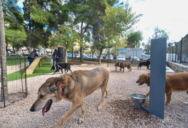 Συστήνεται επιτροπή για την παρακολούθηση του Εθνικού Μητρώου Ζώων Συντροφιάς