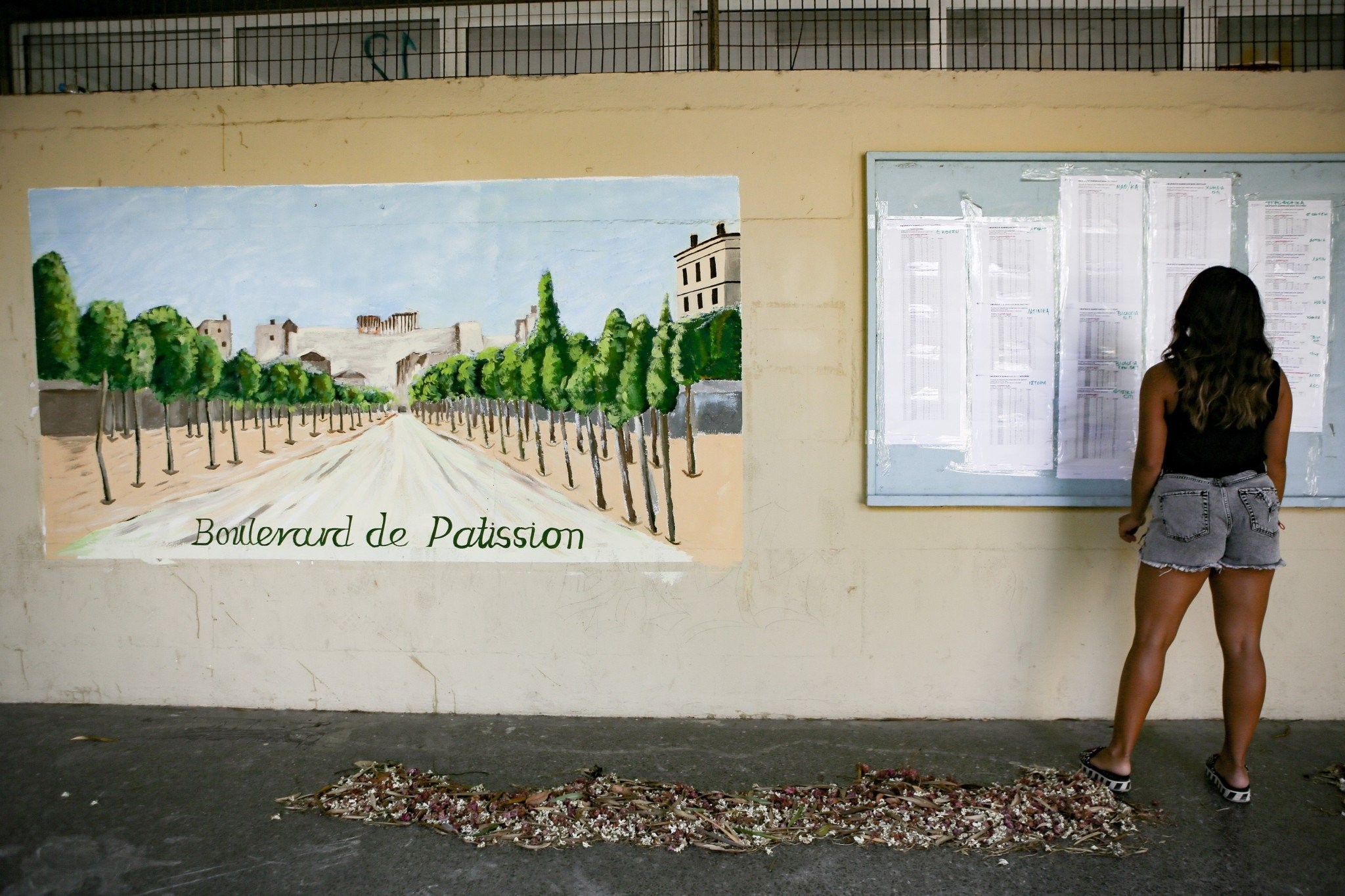 Βάσεις 2024: Πτώση στο 62% των Σχολών – Πάνω από 10.000 οι κενές θέσεις