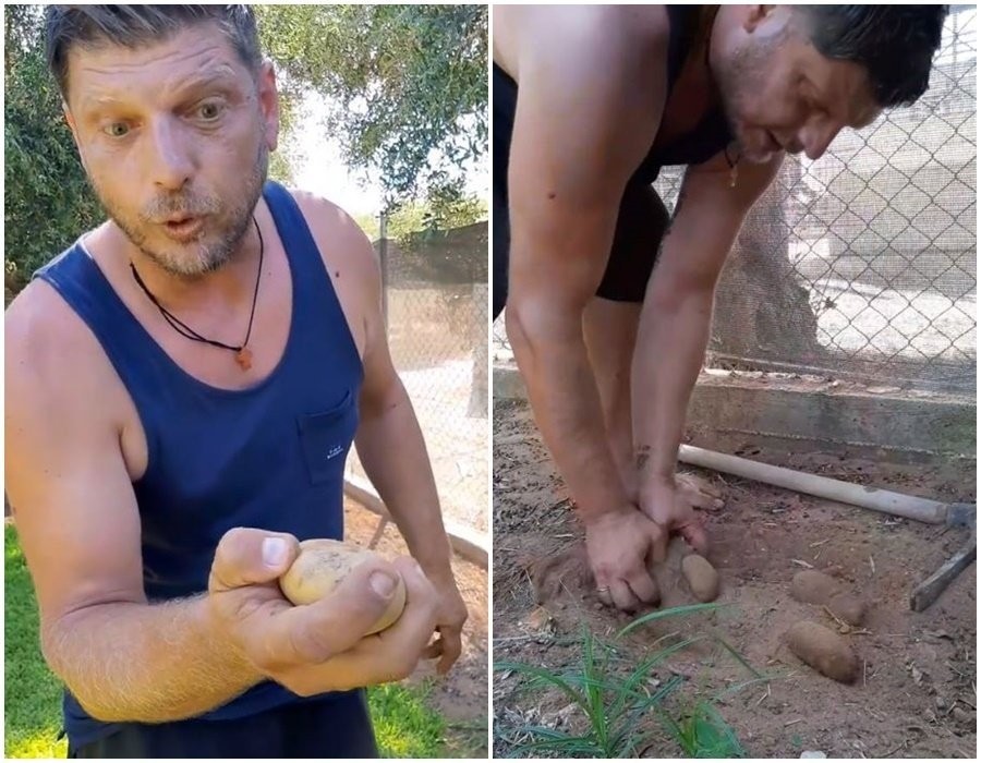 Πώς θα καταλάβω αν η πατάτα είναι φρέσκια; Ο viral αγρότης επιστρέφει με «χρυσές» συμβουλές