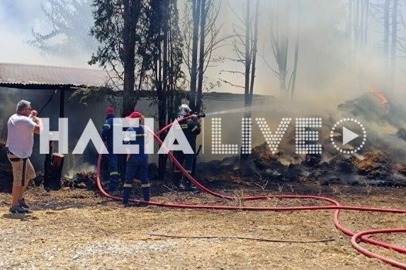 Πύργος: Φωτιά σε στάβλο με άλογα στον Πύργο