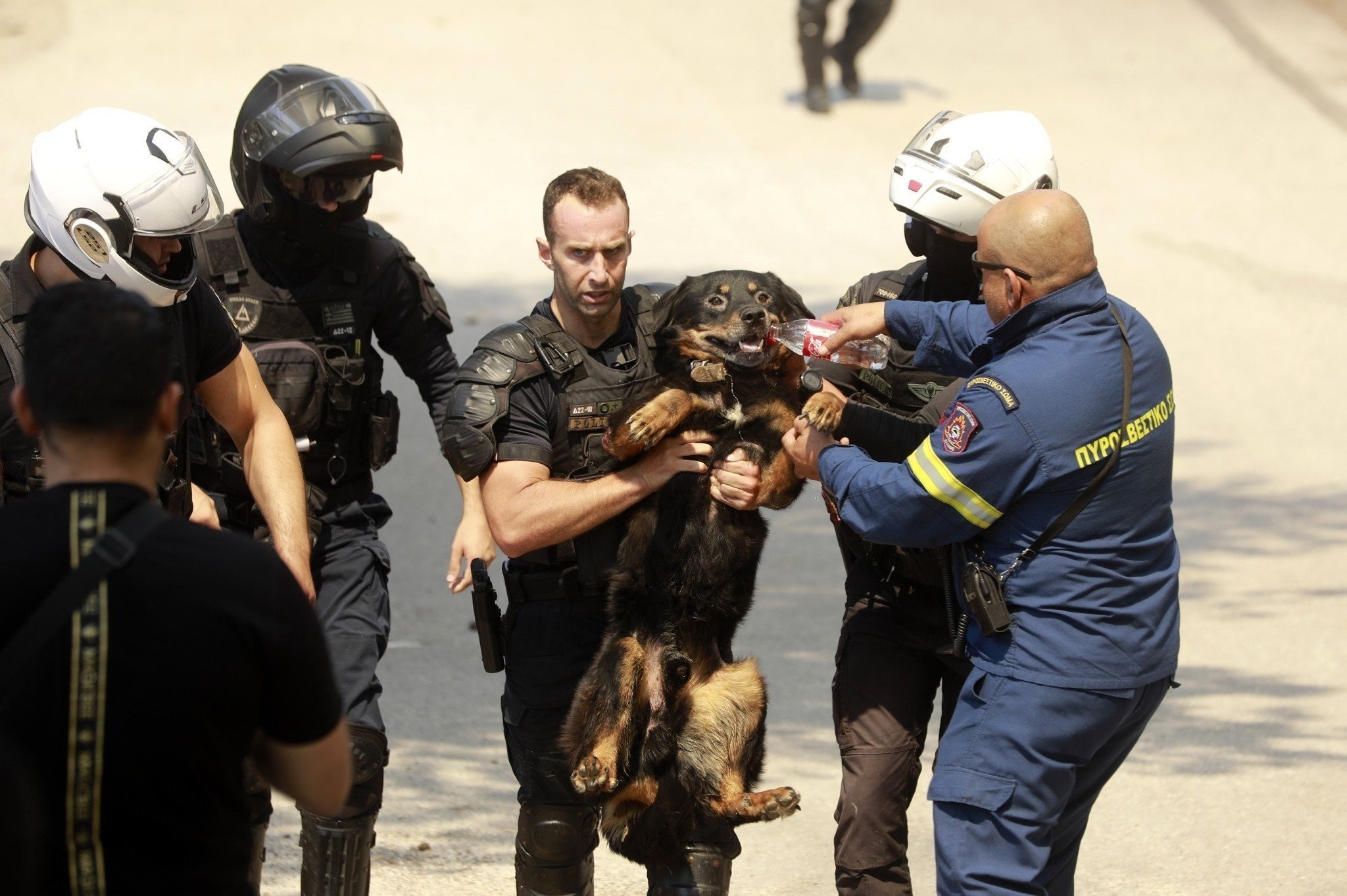 Συγκλονιστικό βίντεο: Αστυνομικοί σώζουν σκύλο από αυλή σπιτιού που καίγεται