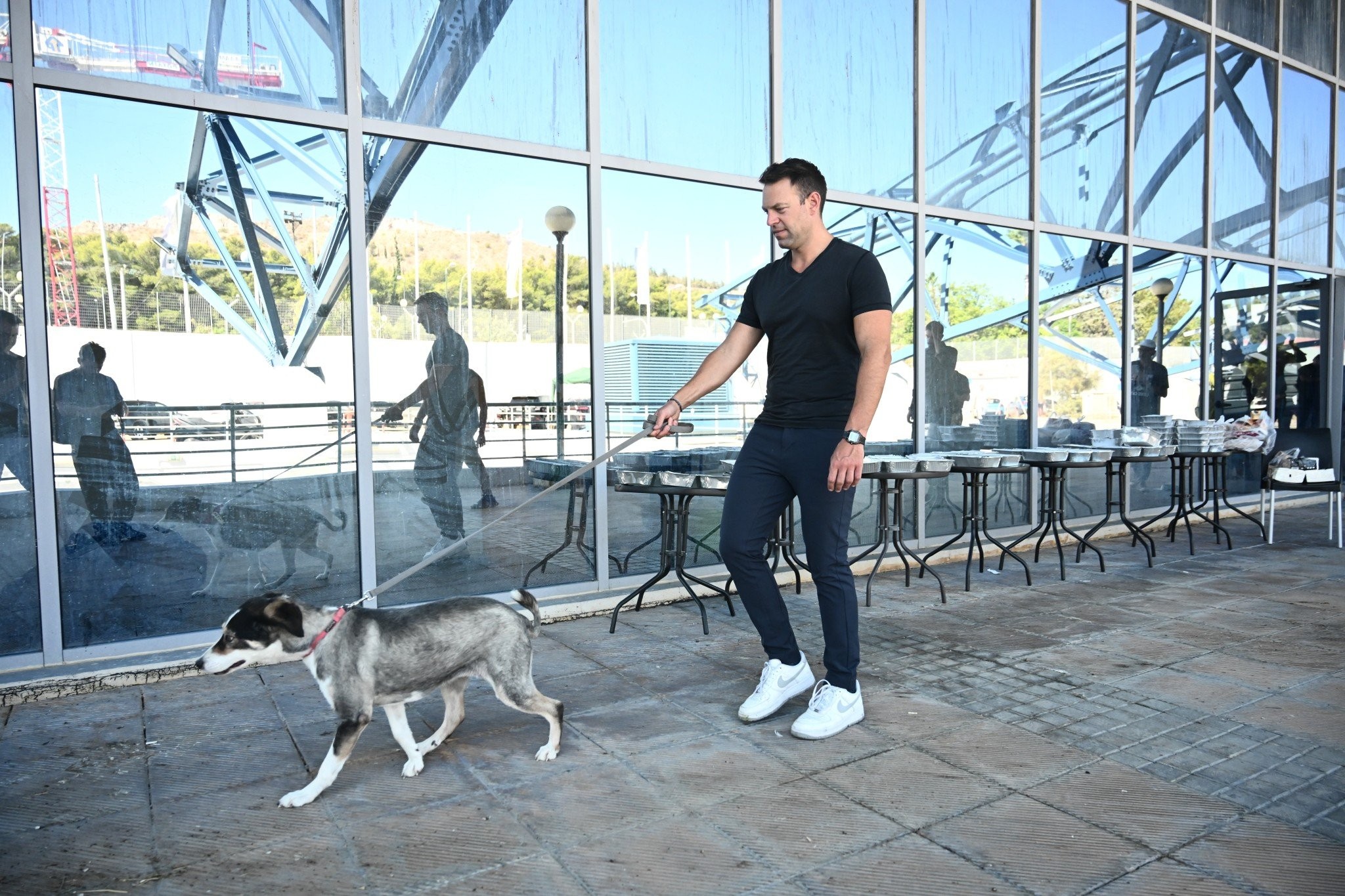 Φωτιές άναψε η «υιοθεσία» πυρόπληκτου σκύλου από Κασσελάκη - Ρωμανός: «Ντεκόρ η επίσκεψη στο Γαλάτσι»