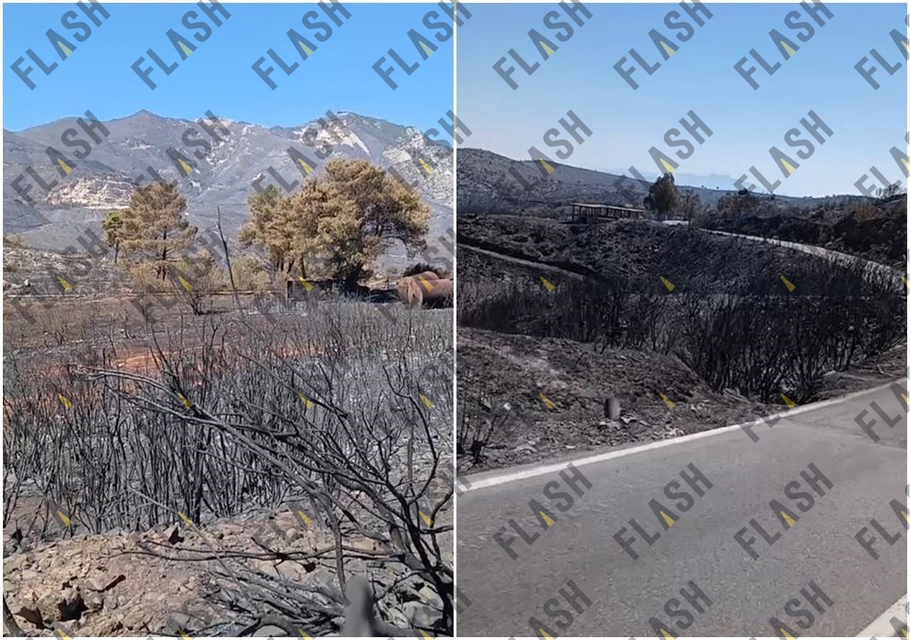 Συγκλονιστικό οδοιπορικό του flash.gr στα καμένα του Διονύσου - Βίντεο που «γεννά» οργή και πόνο