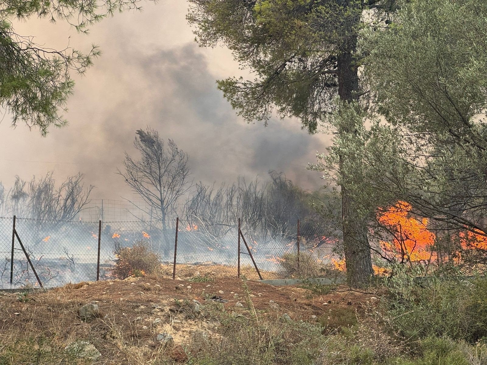 Φωτιά στην Αττική: Σύσκεψη υπό τον περιφερειάρχη Αττικής για την εξέλιξη της πυρκαγιάς