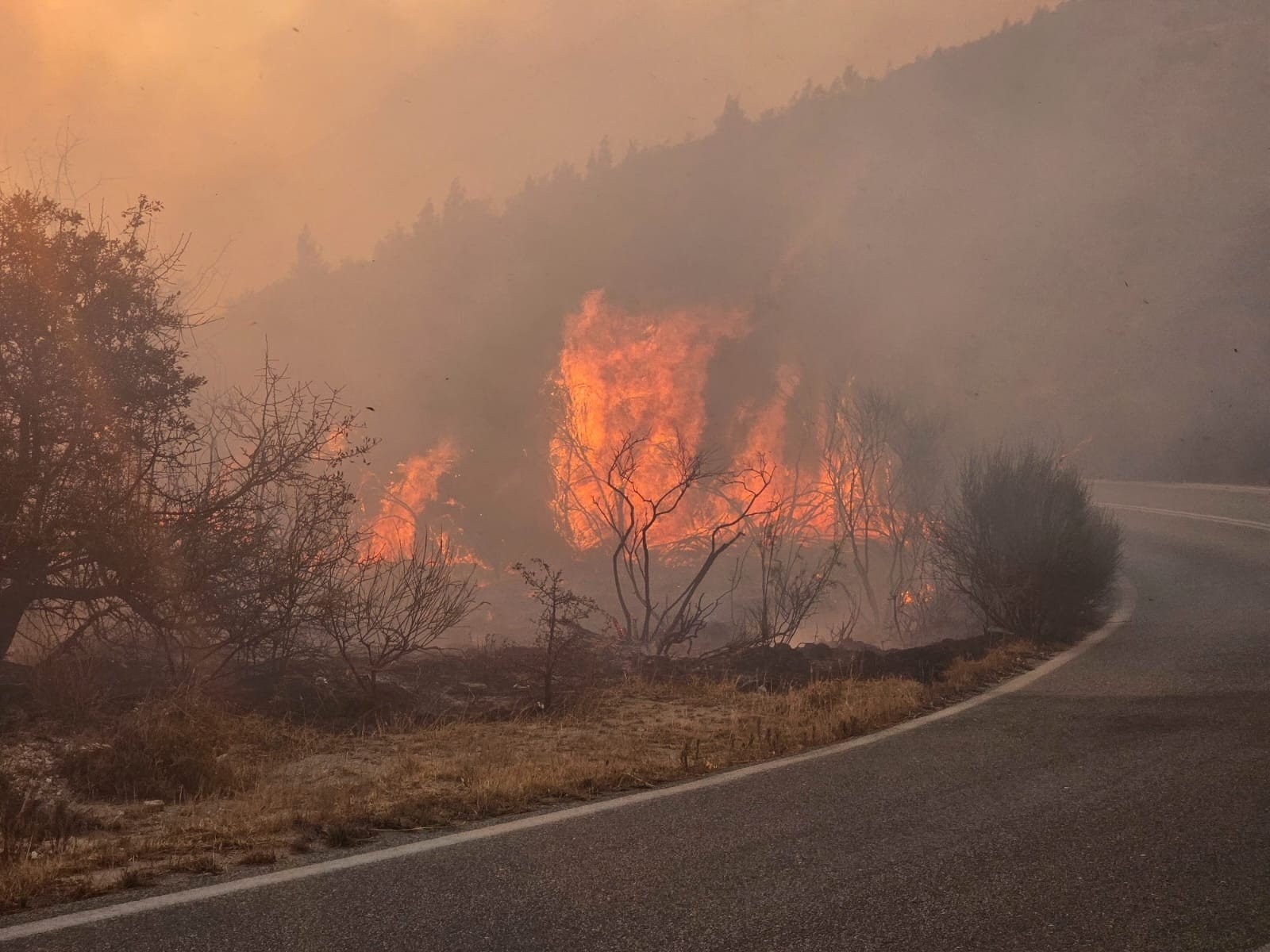 Θεσσαλονίκη: Πυρκαγιά στο περιαστικό δάσος της Ξάνθης - Μήνυμα από το 112
