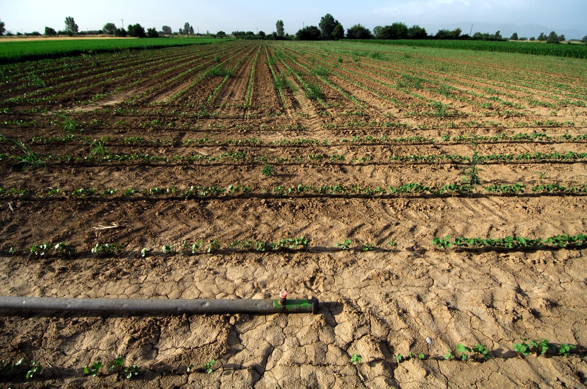 «Έργα άμεσα για να σωθεί η παραγωγική διαδικασία»: SOS από τον αντιπρόεδρο αγροτών Καρδίτσας