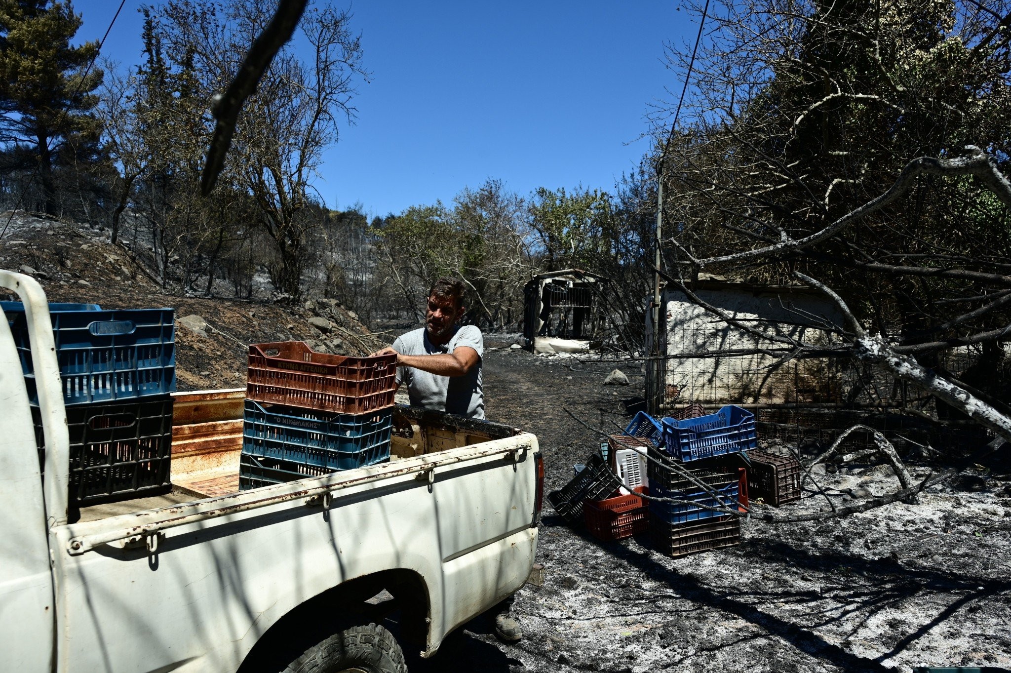 Φωτιά στην Αττική: Επιπτώσεις και στην ακρίβεια – Έρχεται «κύμα» αυξήσεων σε λαχανικά και φρούτα