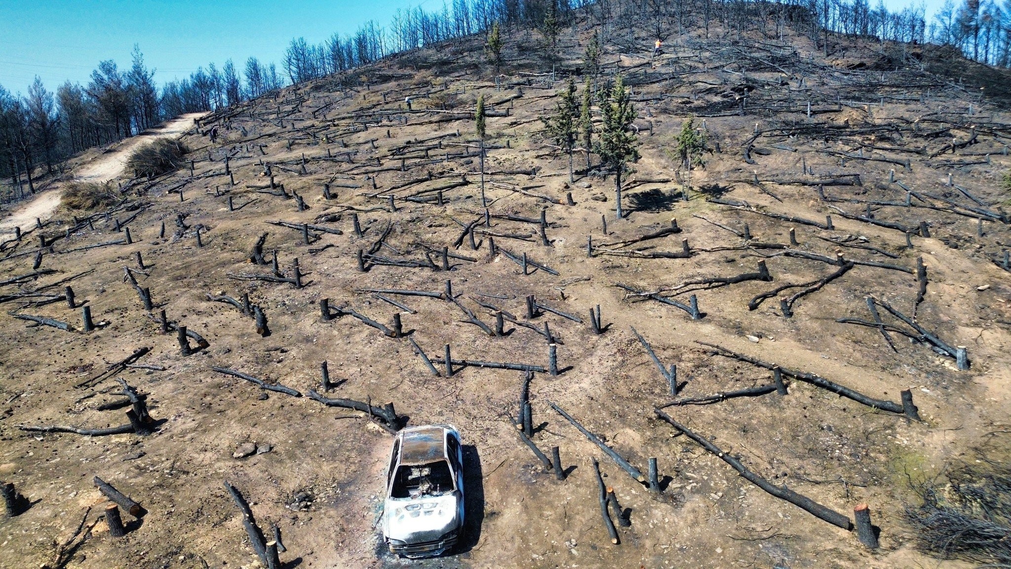 Μάχη με το χρόνο για τα αντιπλημμυρικά έργα - Το Flash.gr στα καμένα της Πεντέλης