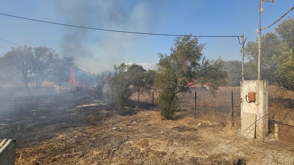 Φωτιά στην Αμαλιάδα: Επιχειρούν τρία αεροπλάνα