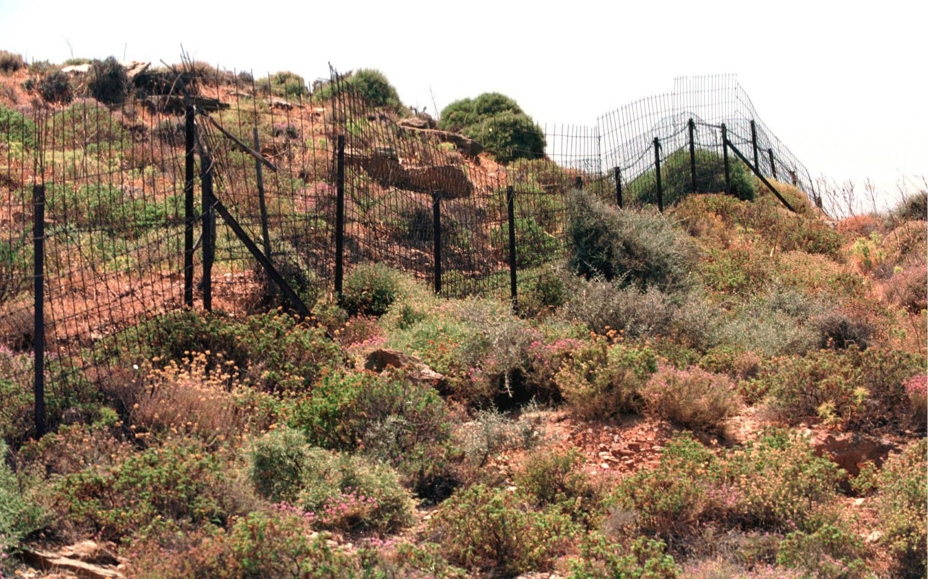 Ποιοι και πώς μπορούν να εξαγοράσουν καταπατημένα του Δημοσίου - Από 30 Σεπτεμβρίου οι αιτήσεις