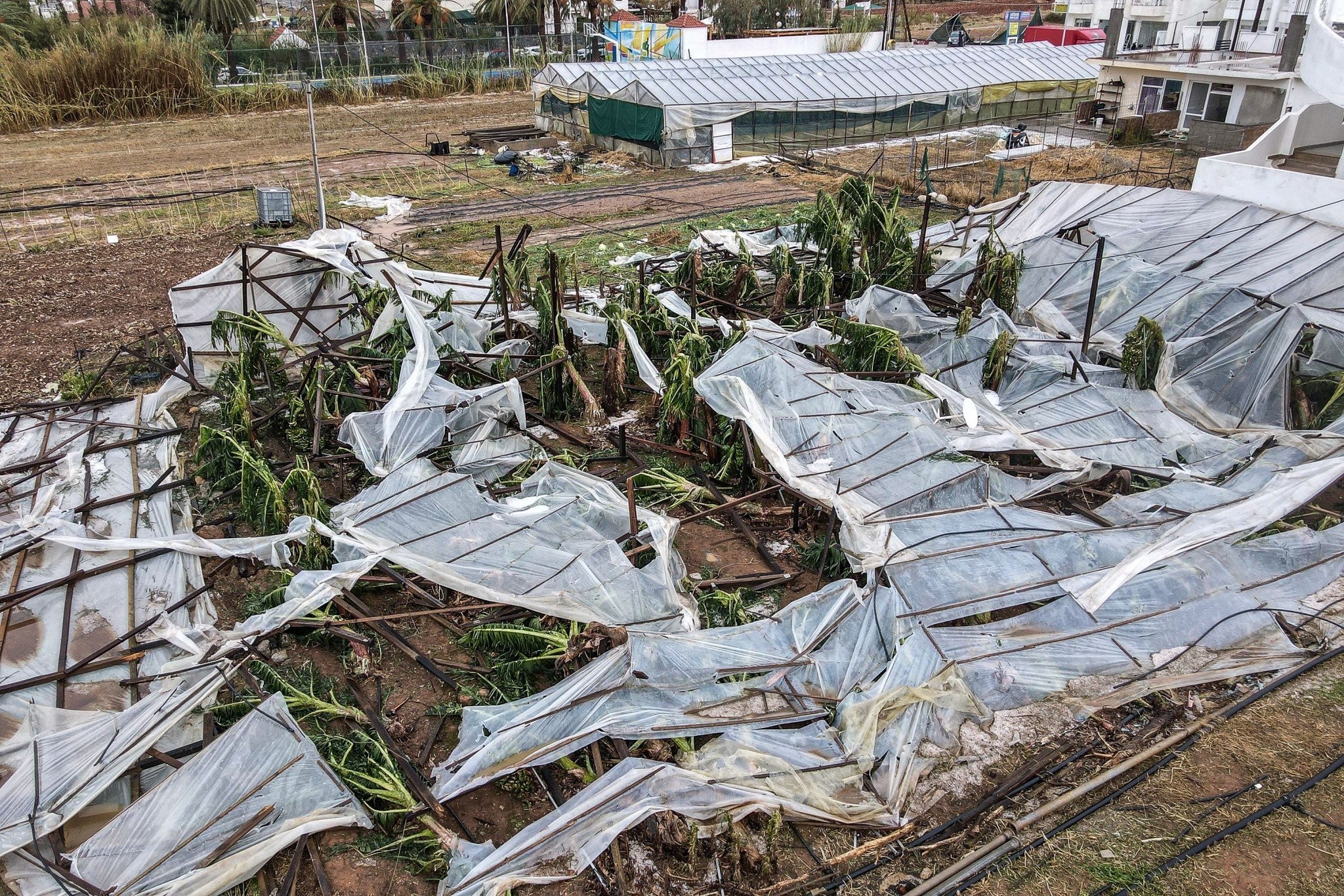 ΕΛΓΑ: Ξεκίνησε η καταγραφή ζημιών από το πρόσφατο χαλάζι