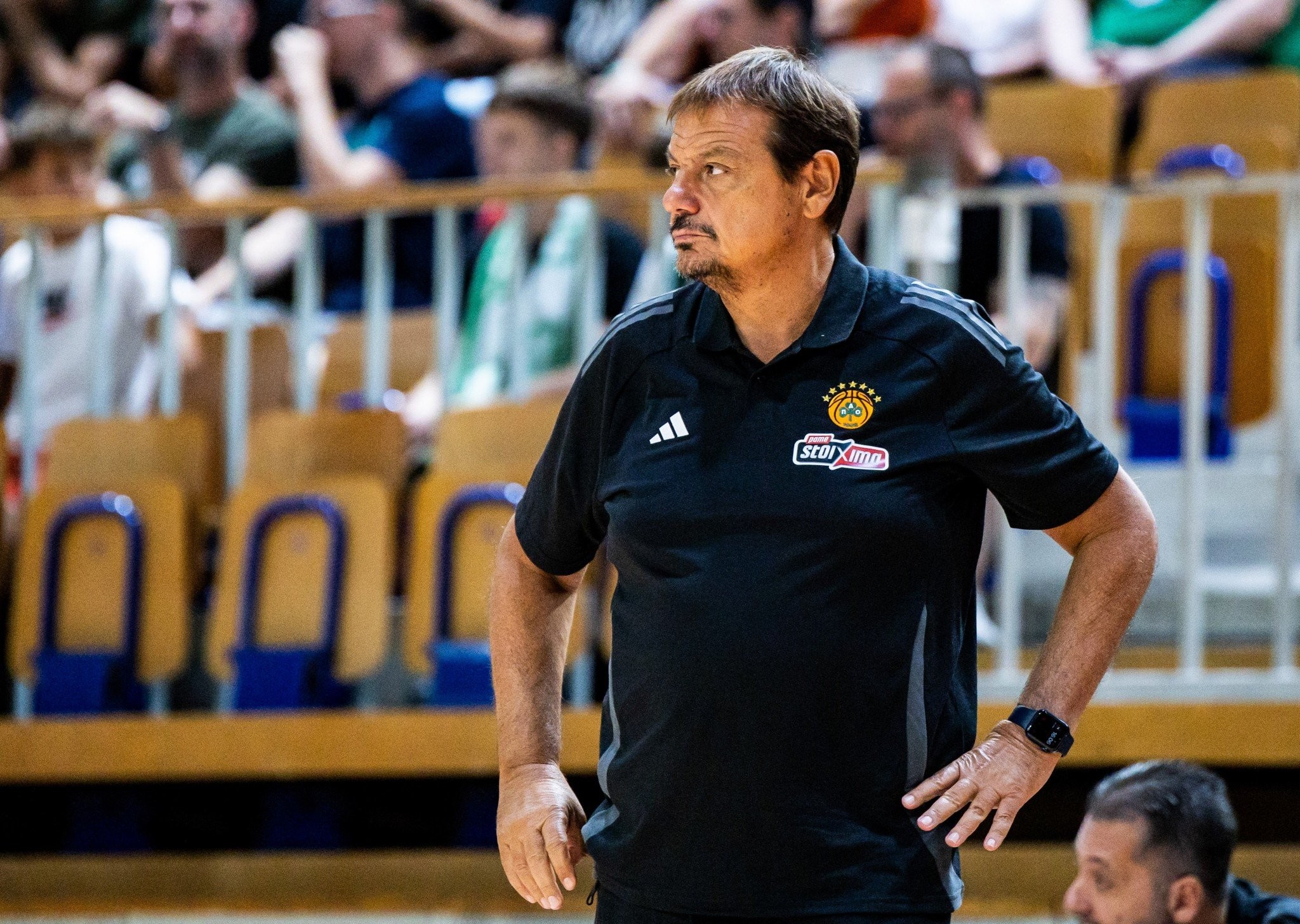 Παναθηναϊκός AKTOR για το συμβάν με Αταμάν: «Ο αθλητισμός ενώνει, έχουμε αξίες σαν σύλλογος»