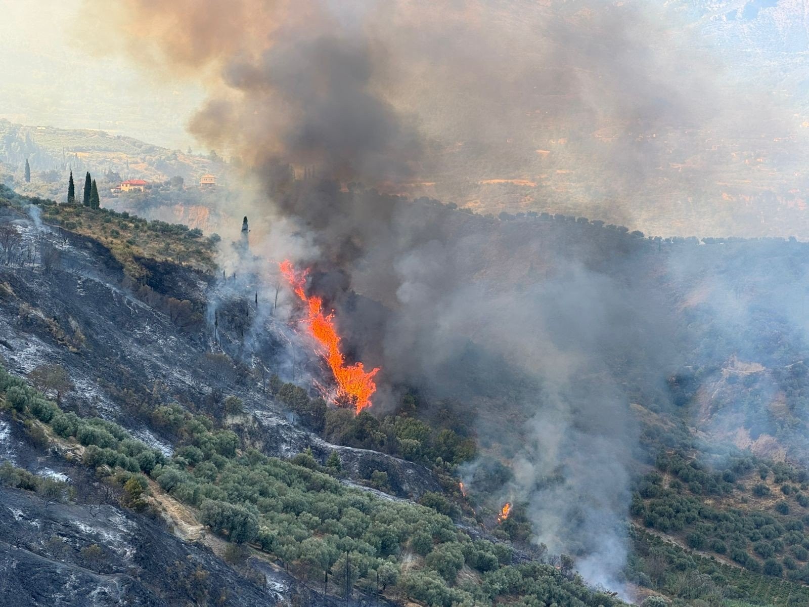 Πυροσβαστική: 51 αγροτοδασικές φωτιές σε ένα 24ωρο - Υπό έλεγχο η φωτιά στο Ξηροκάμπι Αρκαδίας