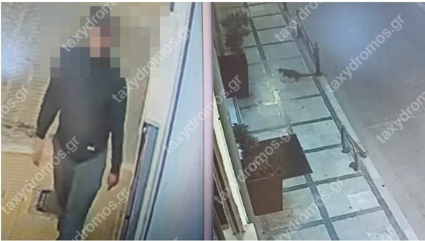 Βόλος: Συνελήφθη ο άνδρας που μαχαίρωνε αδέσποτα στη μέση του δρόμου
