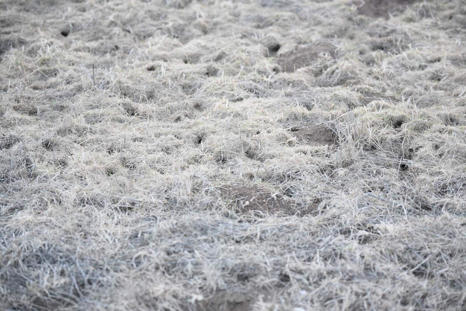 Gallery image Gallery image