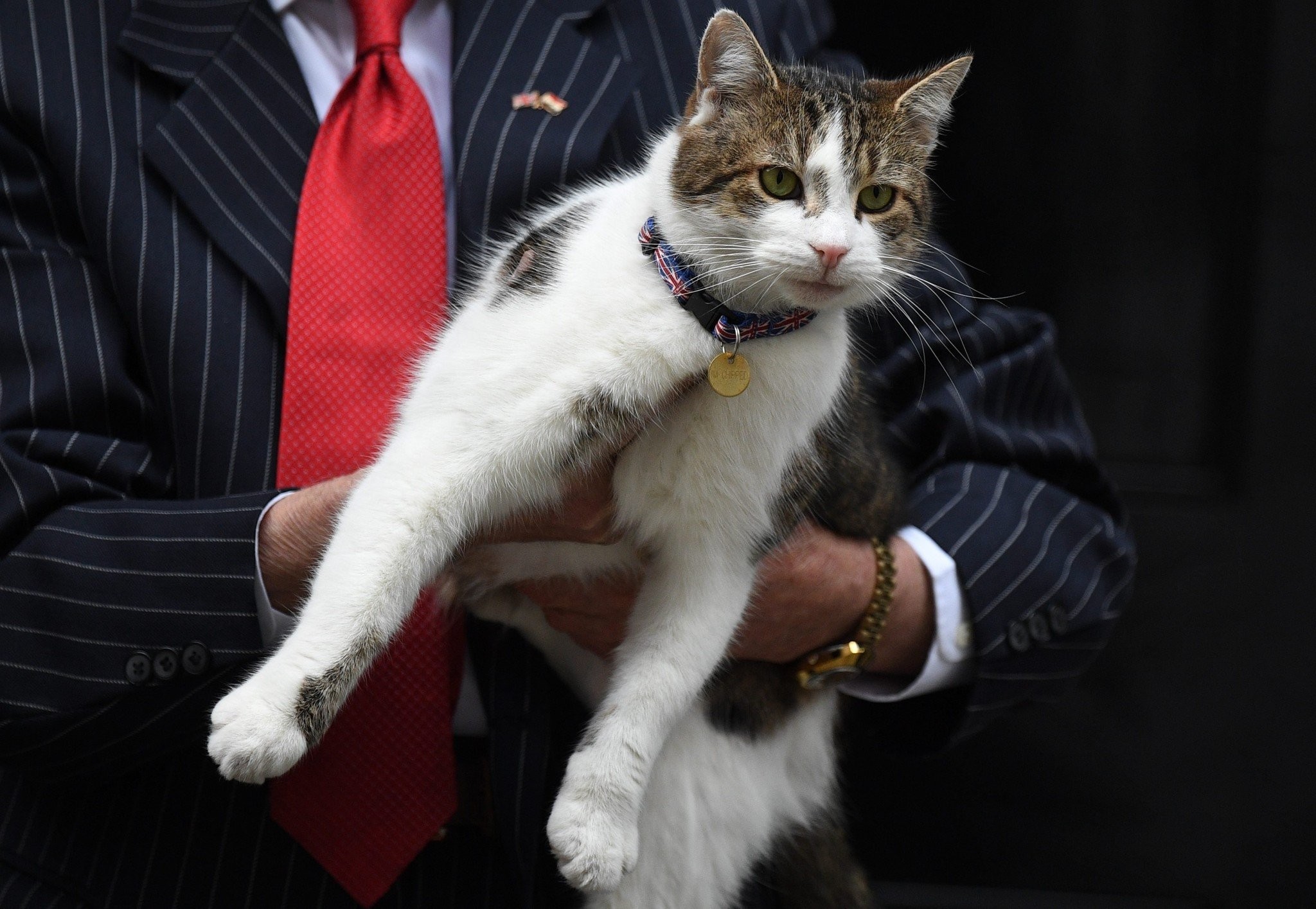 Gallery image Gallery image