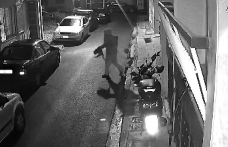 Κολωνός: Συνελήφθη 33χρονος για κακοποίηση γάτας – Κακοποιούσε συστηματικά ζώα, σύμφωνα με την ΕΛ.ΑΣ